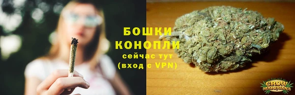 трава Осинники